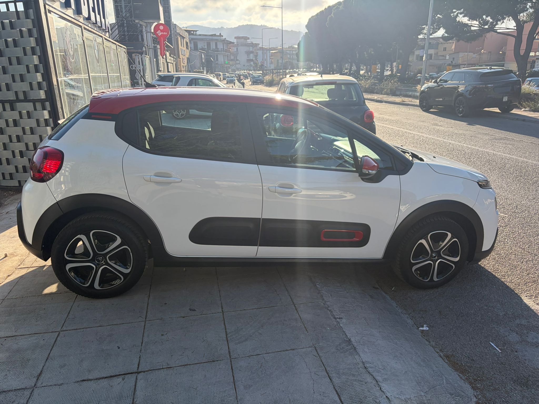Miniatura 6