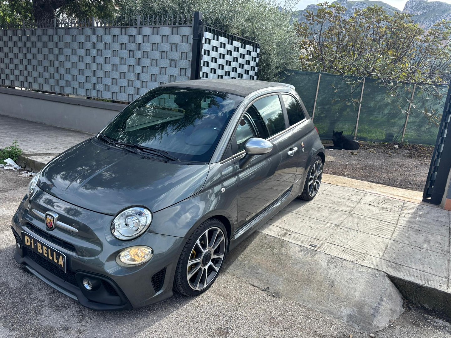 Miniatura 10